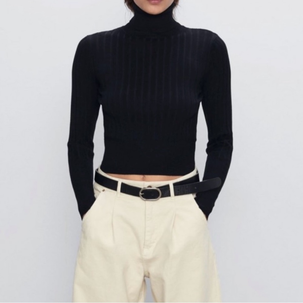 ZARA Black stretchy turtleneck.  (Brand New, Never worn)